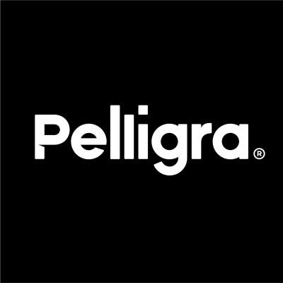 PELLIGRA PRECAST PTY LTD Logo