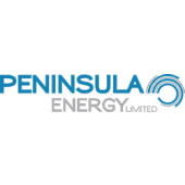 Peninsula Energy Logo