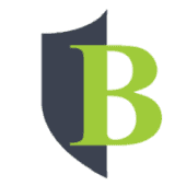 Boutique Venture Partners's Logo