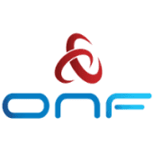 Open Networking Foundation Logo