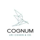 Cognum Financial Consulting Logo