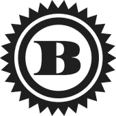 Berg Capital Markets Logo