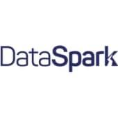 DataSpark Logo