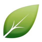Shiny Leaf Logo