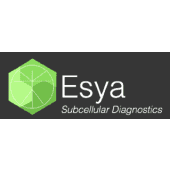 Esya's Logo
