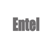 Entel Group Logo