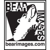 Bear Images Photographic Logo