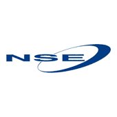 Network System Engineering Logo
