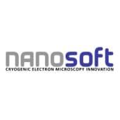 NanoSoft Logo