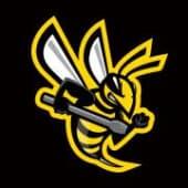 Bee Stinger Logo