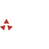 Ternion Corporation's Logo