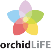Orchid Life Logo