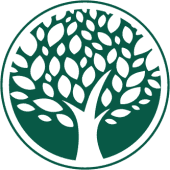 Black Walnut Wealth Management Logo