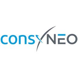 consyNEO GmbH Logo