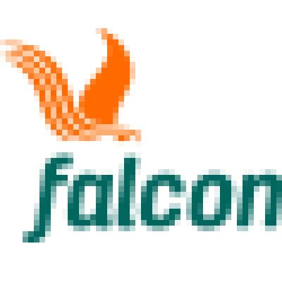 FALCON CORPORATION LIMITED Logo
