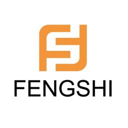 Shenzhen Fengshi Technology Co.Ltd Logo
