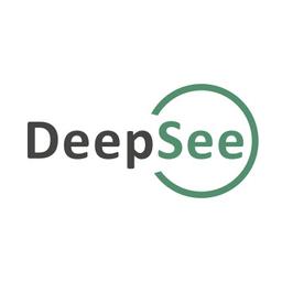 DeepSee Logo
