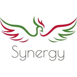 Synergy Tradeco NV Logo