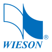 Wieson Technologies Logo
