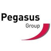 Pegasus Group's Logo