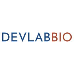 Devlab LLC Logo