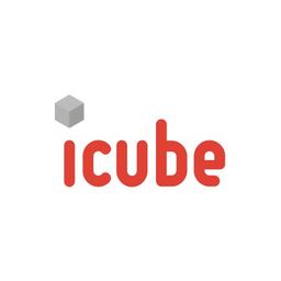 Icube S.A. Logo