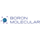 Boron Molecular Logo