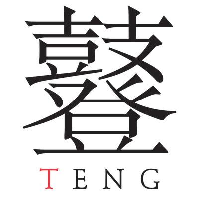 The TENG Company Logo