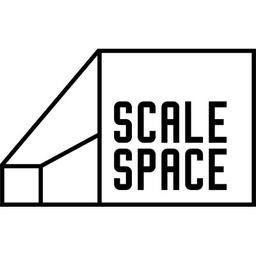 Scale Space Logo