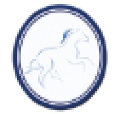 Mustang Technical Services Logo