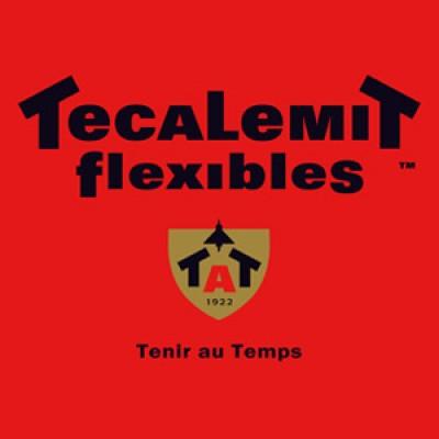 TECALEMIT FLEXIBLES Logo
