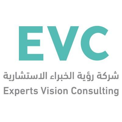 Experts Vision Consulting Logo