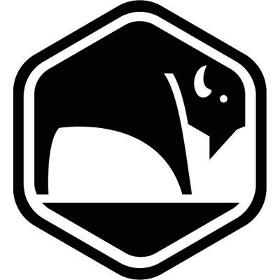 bisonaire Logo