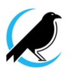 Raven Intelligence Logo