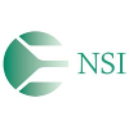 NSI Engineering Inc. Logo