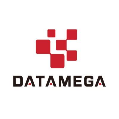 Xiamen DataMega Technology Limited company Logo