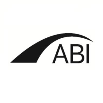 Advanced Bridge Inspections Logo