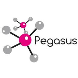 PEGASUS CHEMICALS Logo