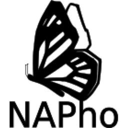 NAPho - Norbert Ackerl Photonics Logo