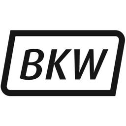 BKW Instruments Logo