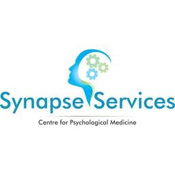 Synapse Services LTD Nigeria Logo