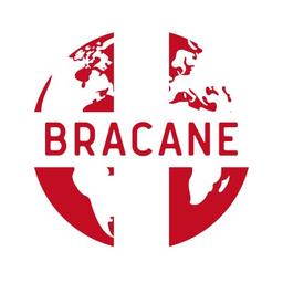 Bracane Company Inc.. (BCI) Logo