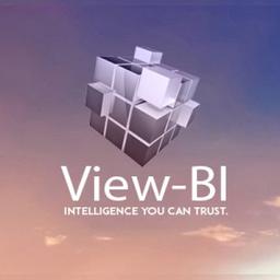 VIEW BI Logo