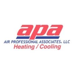 Air Professional Associates LLC Logo