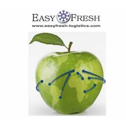Easyfresh Logistics Logo