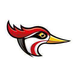 Rockpecker Logo