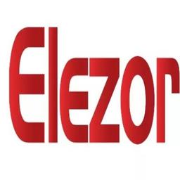 Elezor Consulting Services Logo