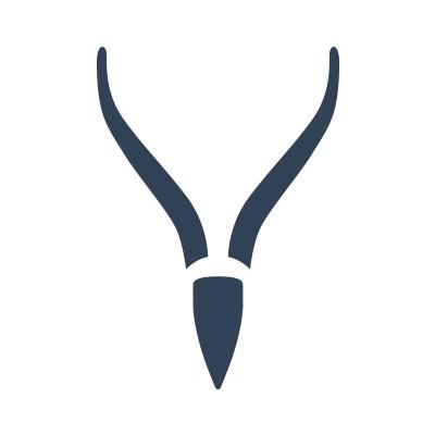 Springbok AI's Logo