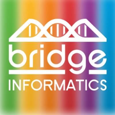 Bridge Informatics's Logo