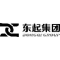 Henan Dongqi Machinery Co., Ltd Logo